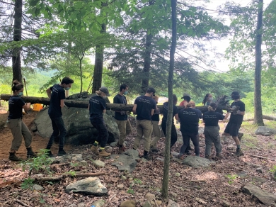 Volunteers carrying a tree