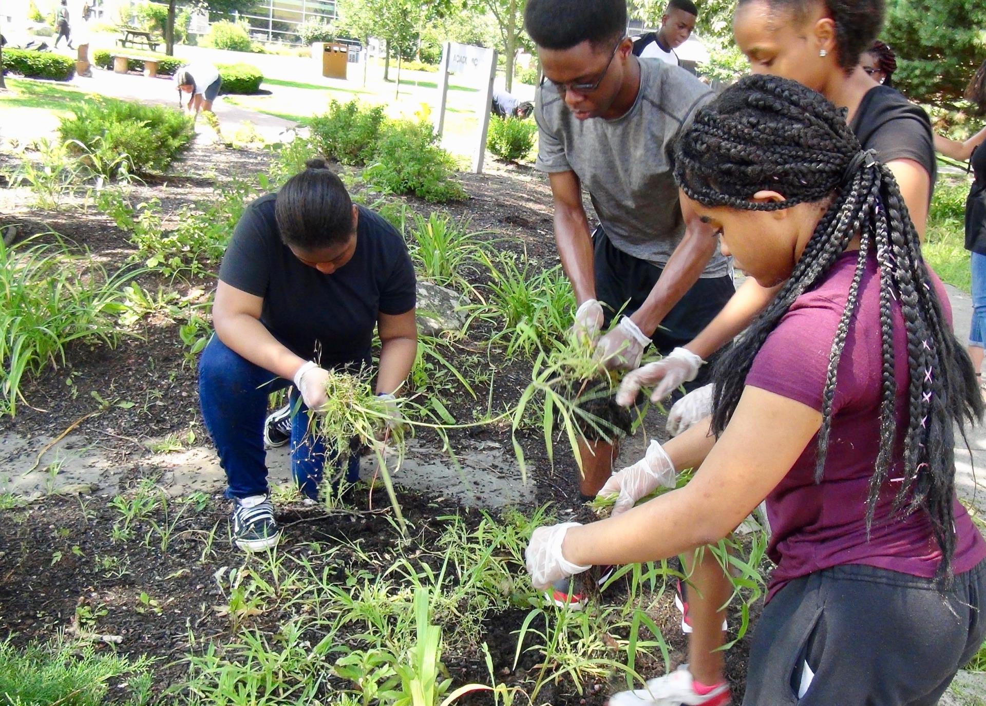 Teens doing community service