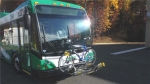 Transport of Rockland Green Bus