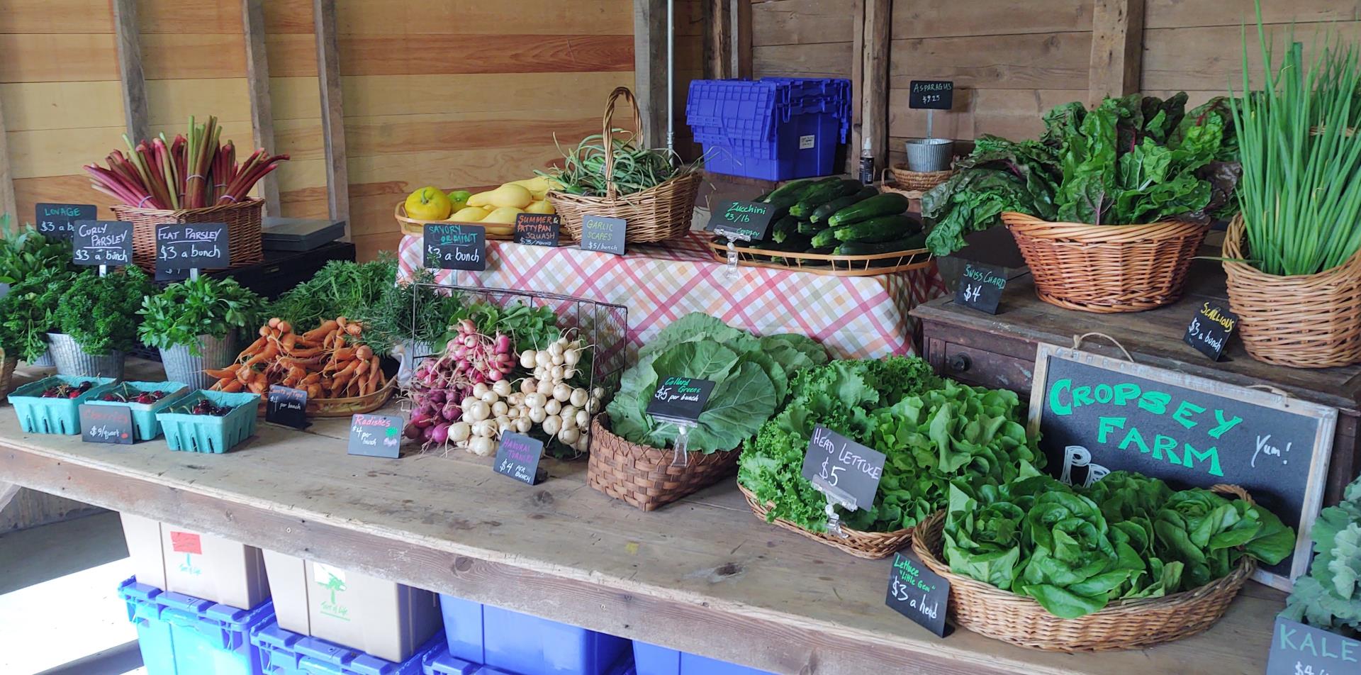 Farm stand