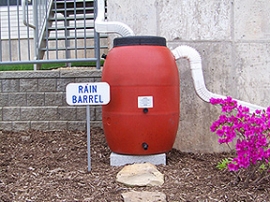 Rain barrel