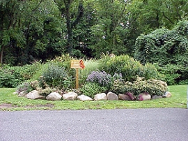 Rain garden