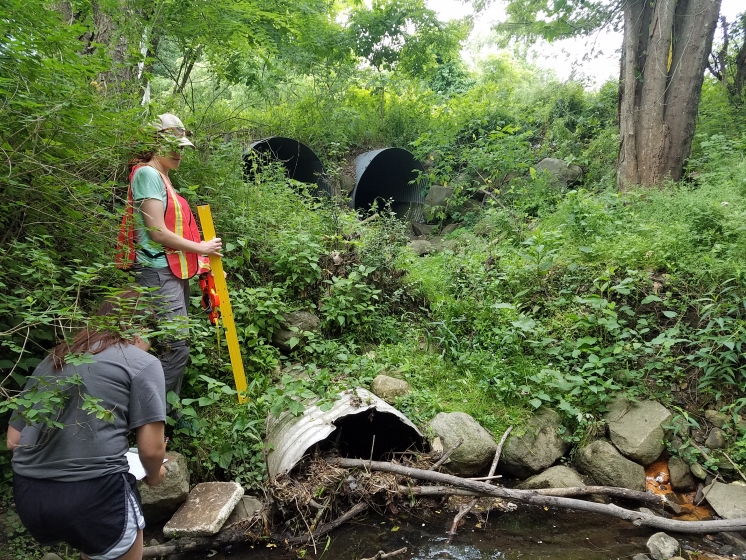 Conservation District Technician and Conservation Corps staff assess a series of culverts