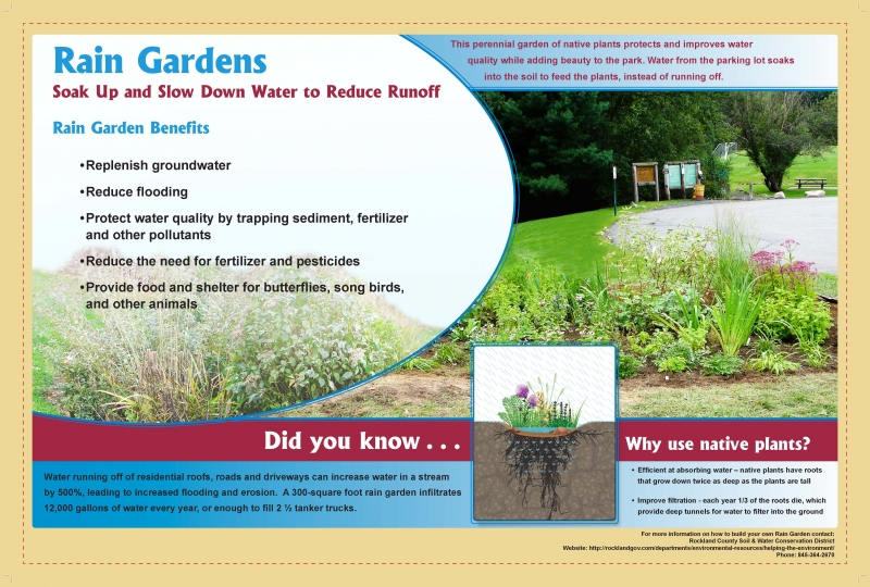 Rain Gardens flyer