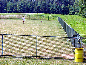 Off-leash dog area